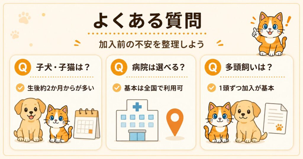 ペット保険の選び方についてのよくある質問をまとめた解説イラスト。飼い主が疑問に思う点を図解