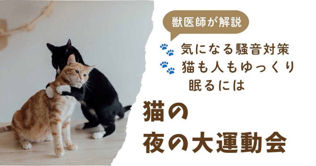 大運動会アイキャッチ