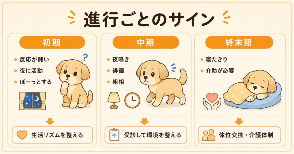 犬の認知症の進行ごとのサイン。初期は夜に活動、中期は夜鳴きや徘徊、終末期は寝たきりと、段階別の症状と対策を示したスライド