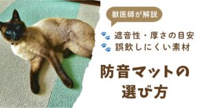 防音マットアイキャッチ