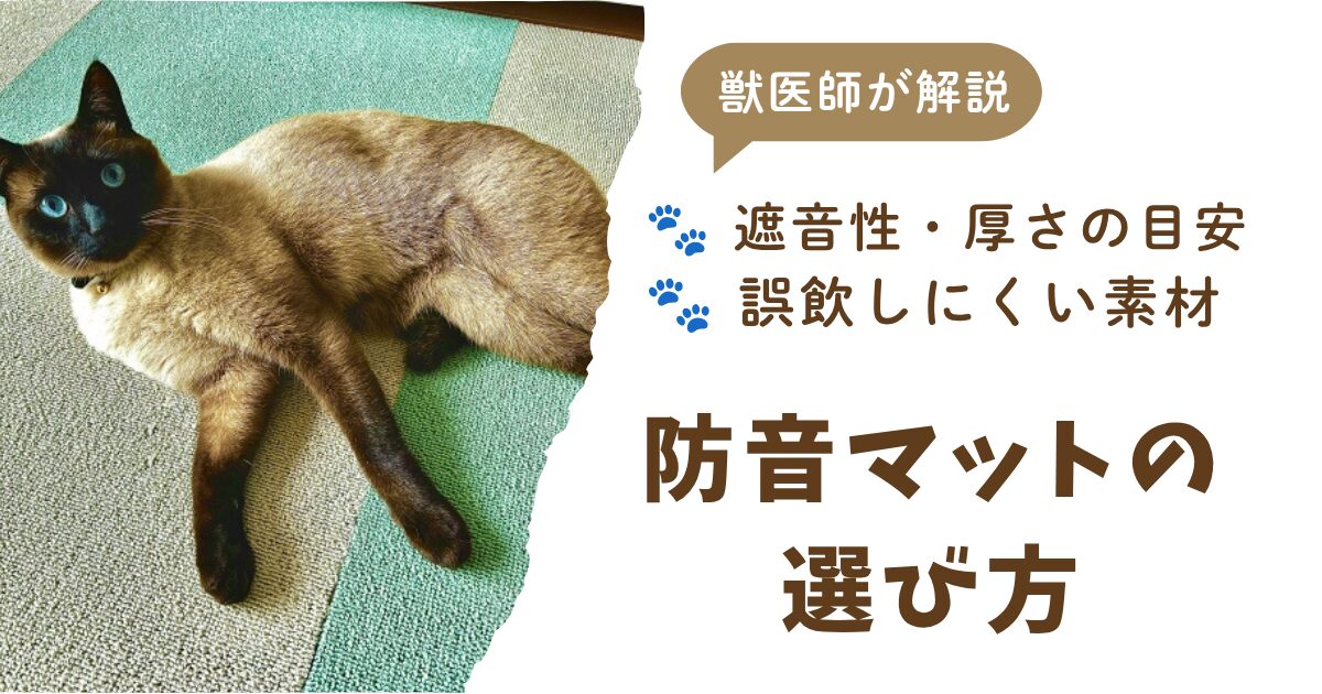 防音マットアイキャッチ