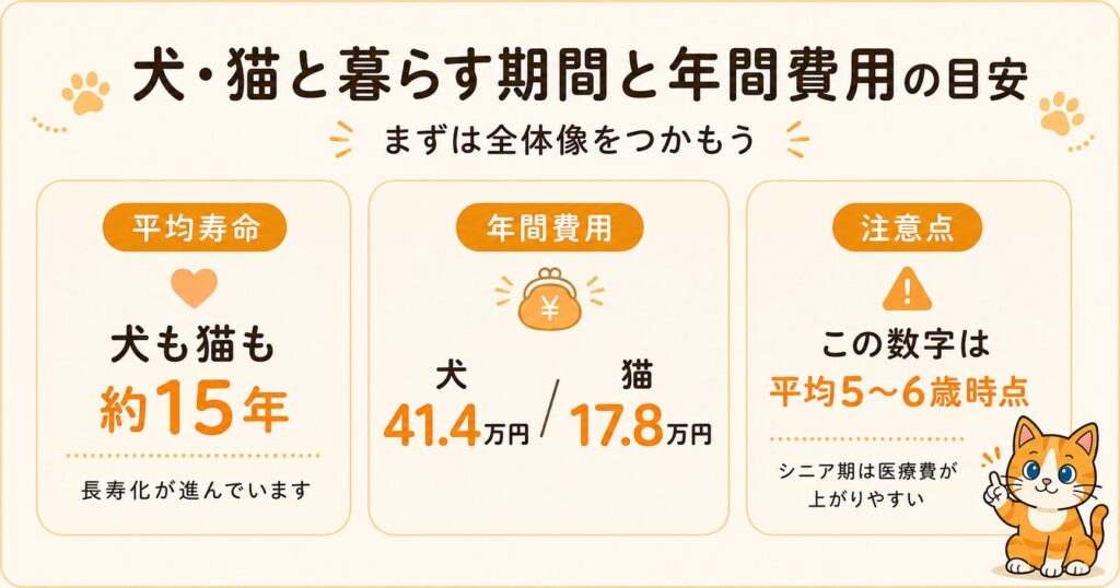 平均寿命などのデータスライド