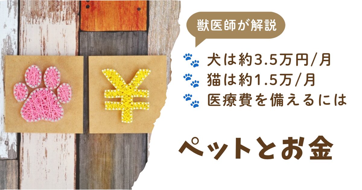 ペットとお金アイキャッチ