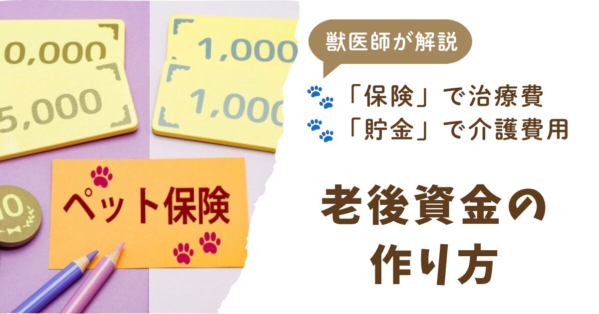ペットの老後資金を用意するにはどうしたらいいかという記事のアイキャッチ。保険と貯金両方で備える重要性を伝えている。