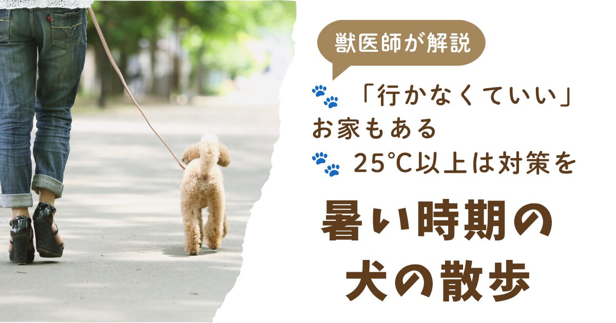 「犬の夏の散歩は何時がいい?気温の目安と行けない日の過ごし方を獣医師が解説」の記事のアイキャッチ。飼い主と犬が散歩している写真。行かなくて良いお家もある、25℃以上は対策をという2点を取り上げている。
