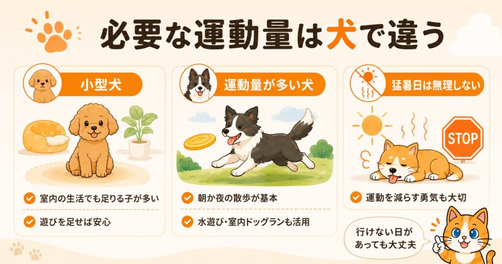 犬種で必要な運動量が違うことを図解。小型犬は室内で足りる子が多い、運動量の多い犬は朝か夜の散歩が基本、猛暑日は無理をしないことを示すスライド
