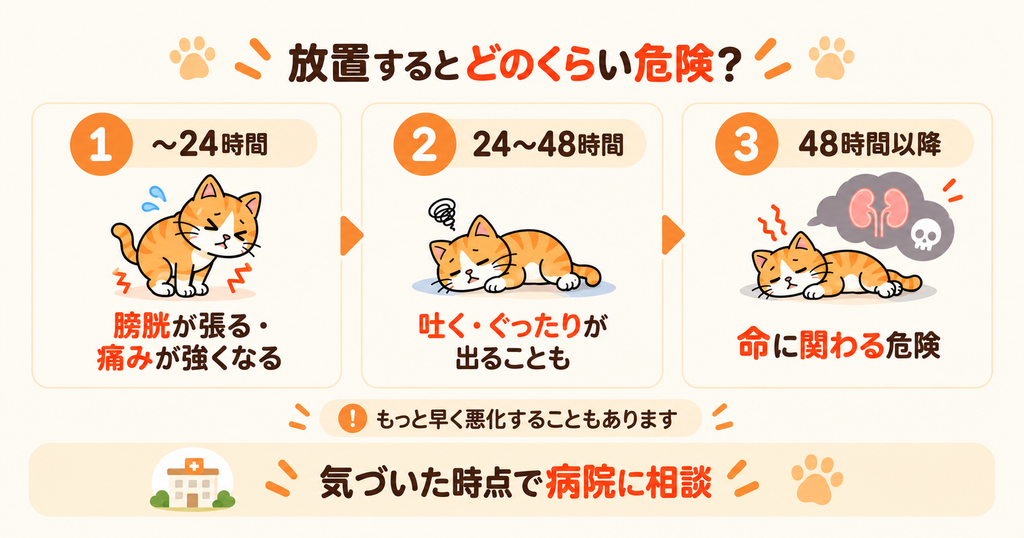 猫がおしっこできない状態を放置した場合の時間経過と、命に関わる危険性を示した図解