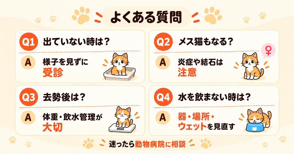 猫の尿トラブルについて、受診の目安や性別差、水を飲まないときの対策をまとめたFAQ図解