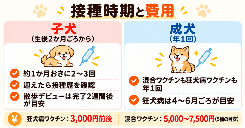 犬のワクチン接種時期と費用を子犬・成犬に分けて比較した図解。子犬の接種回数や散歩デビューの目安、成犬の追加接種、狂犬病・混合ワクチンそれぞれの費用を紹介。
