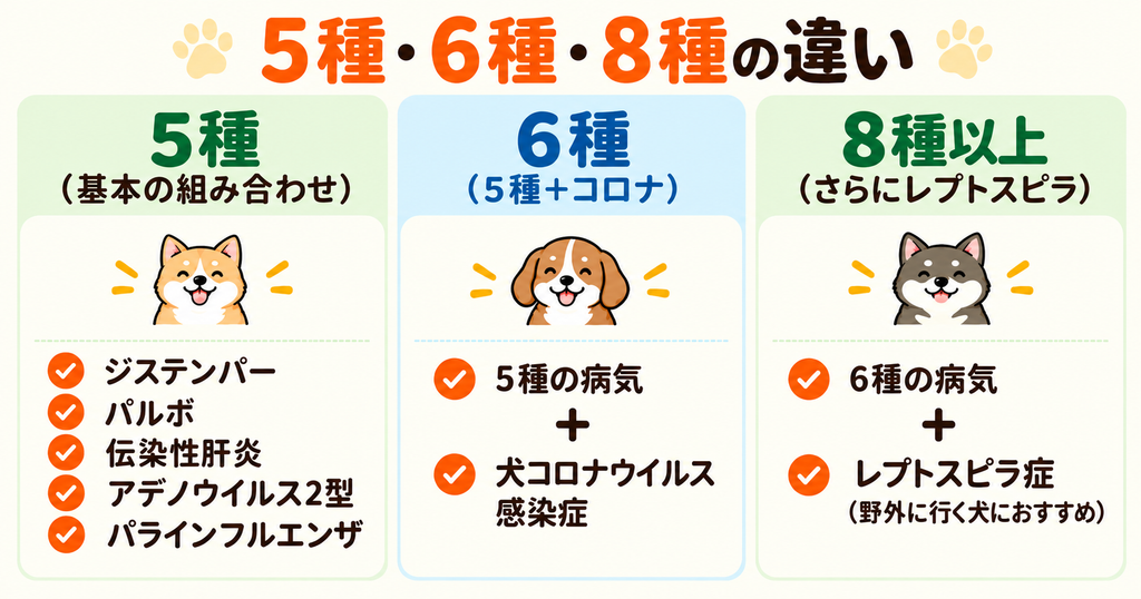 犬の混合ワクチンの種類を、かわいい犬のイラストとともに比較した図解。基本の5種、犬コロナウイルス感染症を加えた6種、レプトスピラ症にも対応する8種以上の特徴を整理。