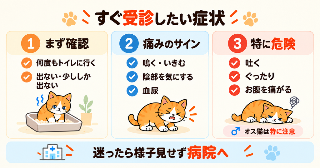 猫のおしっこが出ない、痛がる、吐くなど、すぐ受診したい危険サインを整理したチェック図解