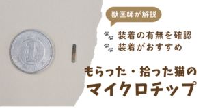 もらった猫、拾った猫のマイクロチップは必要かという記事のアイキャッチ。1円玉とマイクロチップの実物を並べて撮影した写真付き。