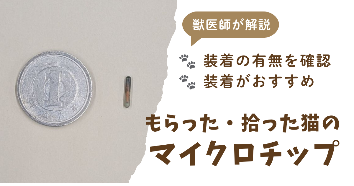 もらった猫、拾った猫のマイクロチップは必要かという記事のアイキャッチ。1円玉とマイクロチップの実物を並べて撮影した写真付き。