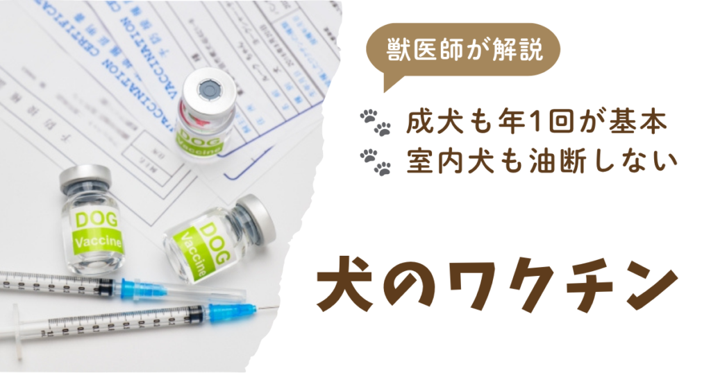 犬用ワクチンの小瓶と注射器、接種証明書の写真に「獣医師が解説　犬のワクチン　室内犬も油断しない　成犬も年1回が基本」の文字が入ったアイキャッチ画像
