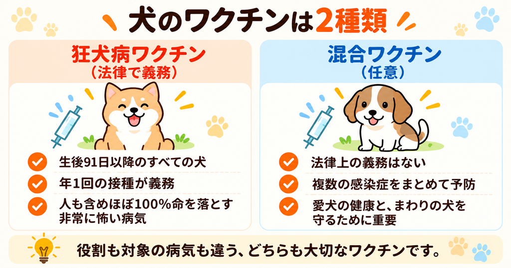 犬が一般的に受けるワクチン、狂犬病ワクチンと混合ワクチンについて説明するスライド。狂犬病ワクチンは法律上の義務があるが、混合ワクチンは任意。