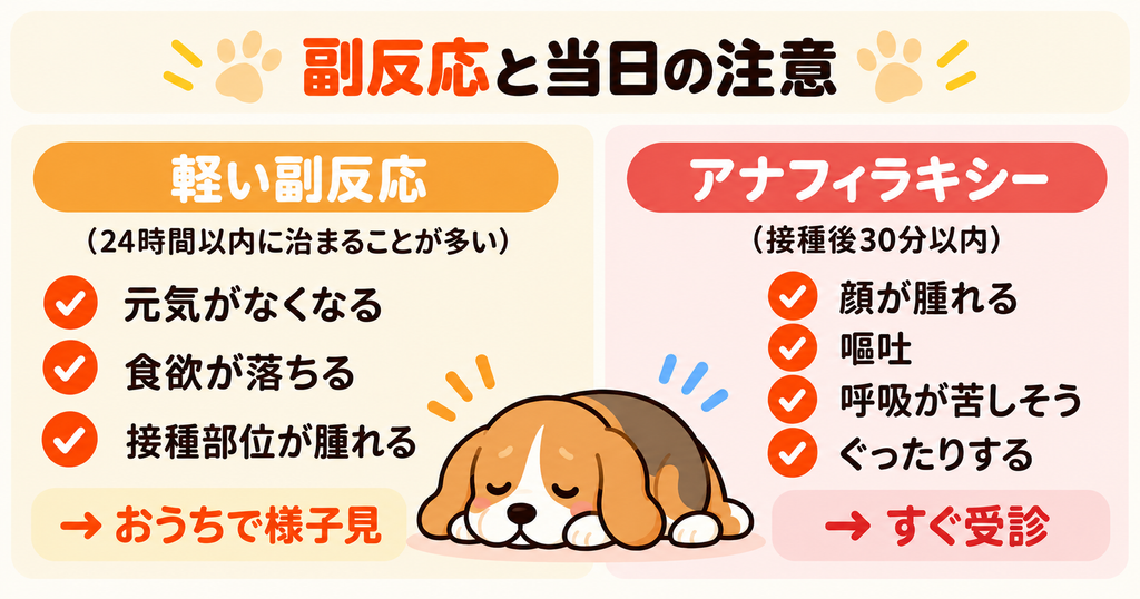 犬のワクチン接種後に起こる副反応をまとめた図解。元気や食欲の低下、接種部位の腫れなどの軽い症状と、顔の腫れや嘔吐、呼吸困難など受診が必要な症状を紹介。