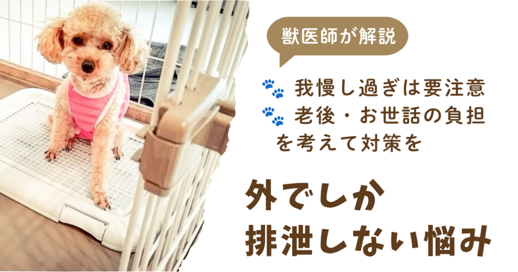 外でしか排泄しない犬の悩みについて、我慢しすぎや老後の負担に注意し対策を促すアイキャッチ画像